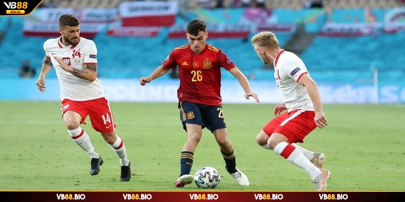 Đảm bảo phân tích kỹ lưỡng về thông tin đội bóng khi cược